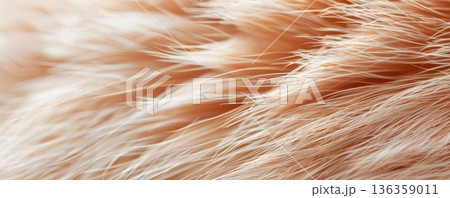 Close-up of soft, peach-colored feathers with a delicate texture. 136359011
