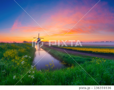 A picturesque countryside landscape at dawn featuring a historic windmill reflected in a calm canal. A picturesque countryside landscape at dawn featuring a historic windmill reflected in a calm canal. 136359336