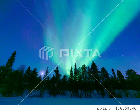 Panoramic horizontal view of the aurora borealis dancing over a snowy forest in Scandinavia. Panoramic horizontal view of the aurora borealis dancing over a snowy forest in Scandinavia. 136359340
