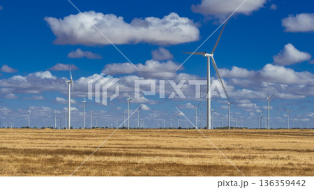 Windmills Fields, Spain 136359442