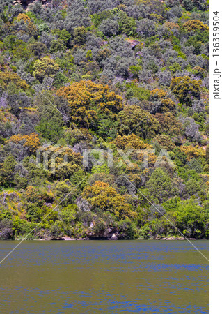 Arribes del Duero Natural Park, Spain Arribes del Duero Natural Park, Spain 136359504