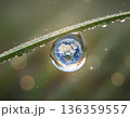 Earth reflected in a water drop on a blade of grass 136359557