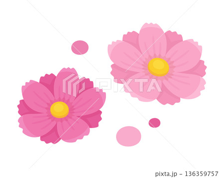 かわいいコスモスの花のイラスト素材 136359757