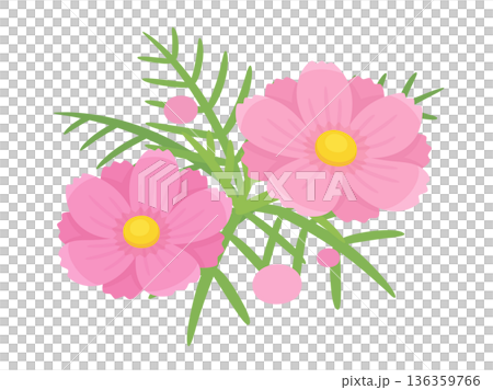 Cute cosmos illustration material Cute cosmos illustration material 136359766