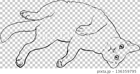 Drawing animal hand drawn cat outline lying relaxed minimal line art illustration black contour Drawing animal hand drawn cat outline lying relaxed minimal line art illustration black contour 136359795