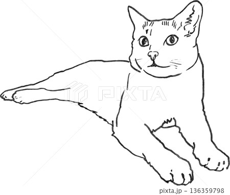 Hand drawn animal drawing cat outline simple black line art relaxed pose Hand drawn animal drawing cat outline simple black line art relaxed pose 136359798