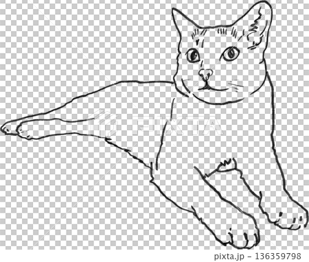 Hand drawn animal drawing cat outline simple black line art relaxed pose Hand drawn animal drawing cat outline simple black line art relaxed pose 136359798
