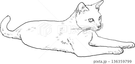 Drawing animal hand drawn black cat outline relaxing on floor with calm graceful pose and minimal line art style Drawing animal hand drawn black cat outline relaxing on floor with calm graceful pose and minimal line art style 136359799