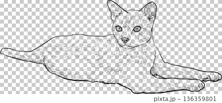 Drawing animal hand drawn cat lying relaxed line art illustration on transparency background playful mood Drawing animal hand drawn cat lying relaxed line art illustration on transparency background playful mood 136359801