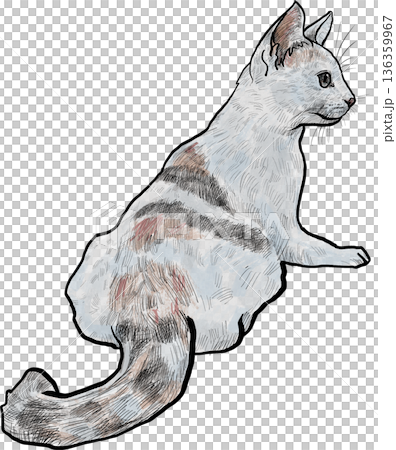 Drawing animal hand drawn cat illustration with textured fur and curled tail in soft pastel color sketch style profile view 136359967