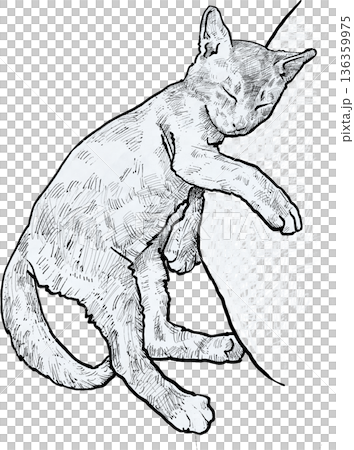 Hand Drawn Sleeping Kitten Illustration Hand Drawn Sleeping Kitten Illustration 136359975