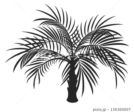 Palm fronds black icon. Exotic rainforest branch 136360007