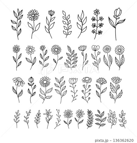Set of hand drawn leaves, branches, flowers, flourishes. Design element for banner, sign, poster, decoration. Vector illustration 136362620