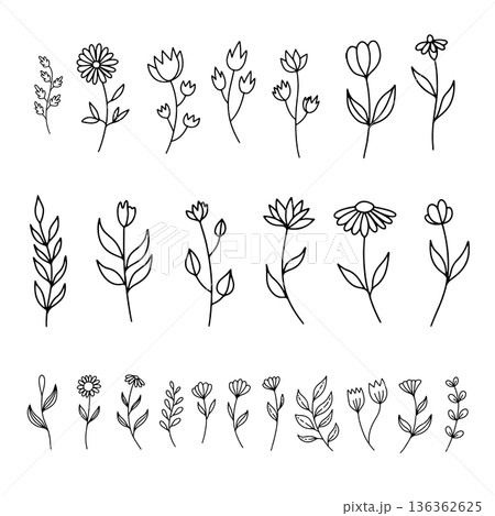 Set of hand drawn leaves, branches, flowers, flourishes. Design element for banner, sign, poster, decoration. Vector illustration Set of hand drawn leaves, branches, flowers, flourishes. Design element for banner, sign, poster, decoration. Vector illustration 136362625