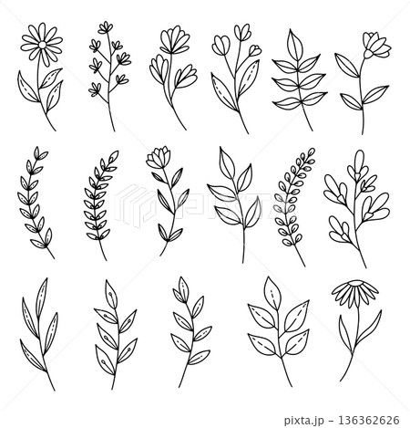 Set of hand drawn leaves, branches, flowers, flourishes. Design element for banner, sign, poster, decoration. Vector illustration Set of hand drawn leaves, branches, flowers, flourishes. Design element for banner, sign, poster, decoration. Vector illustration 136362626