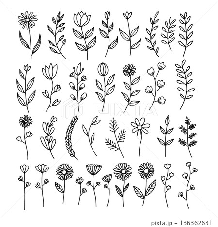 Set of hand drawn leaves, branches, flowers, flourishes. Design element for banner, sign, poster, decoration. Vector illustration 136362631