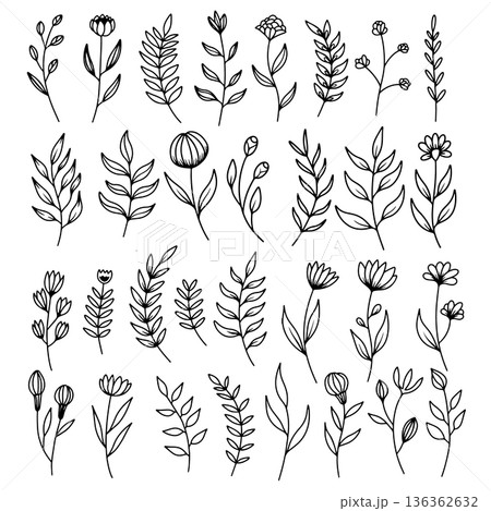 Set of hand drawn leaves, branches, flowers, flourishes. Design element for banner, sign, poster, decoration. Vector illustration 136362632