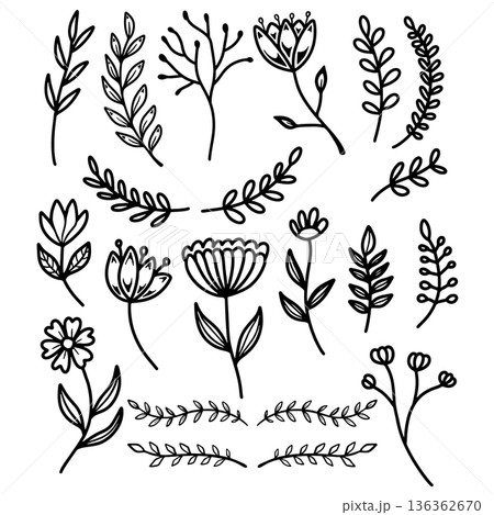 Set of hand drawn leaves, branches, flowers, flourishes. Design element for banner, sign, poster, decoration. Vector illustration 136362670