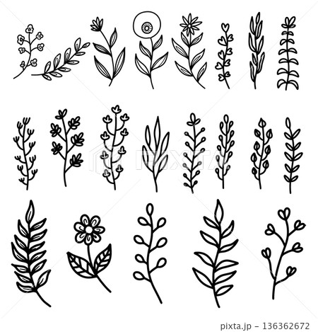 Set of hand drawn leaves, branches, flowers, flourishes. Design element for banner, sign, poster, decoration. Vector illustration Set of hand drawn leaves, branches, flowers, flourishes. Design element for banner, sign, poster, decoration. Vector illustration 136362672