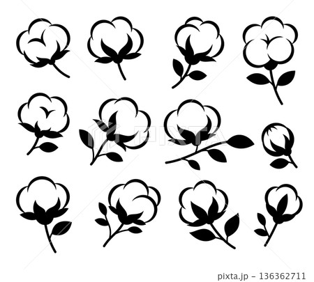 Set of cotton plant flowers and branches. Minimalist brown and white botanical clipart for eco and rustic themed illustrations Set of cotton plant flowers and branches. Minimalist brown and white botanical clipart for eco and rustic themed illustrations 136362711