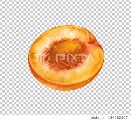 Half of a juicy peach without a stone on an isolated background. Botanical watercolor illustration. Realistic clipart of a piece of orange fruit. 136362807