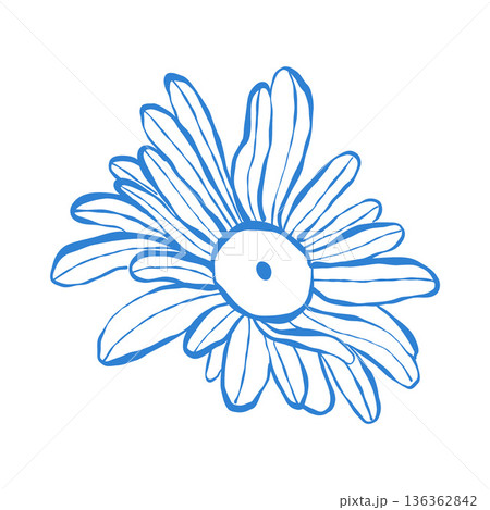 Gerbera flower vector image. Isolated outline illustration of a gerbera flower on a white background. Blue lineart, clip art. Gerbera flower vector image. Isolated outline illustration of a gerbera flower on a white background. Blue lineart, clip art. 136362842