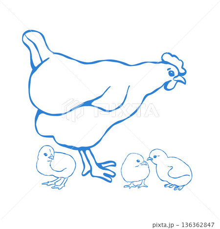 Hen with chicks in outline style. Vector isolated blue clip art. Farm birds. Linear Easter illustration, simple drawing in blue. 136362847