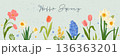 Whimsical spring banner with hand drawn flowers in pastel colors. Cute botanical illustration with tulips, daffodils and hyacinths. Perfect for seasonal design, greeting card, web banner, invitation. 136363201