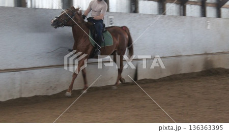 Horse training on a covered area. Equestrian sports 136363395