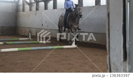 A girl riding a brown horse. Horse training 136363397