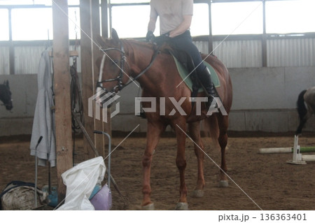The guy is sitting on horseback. Medium plan The guy is sitting on horseback. Medium plan 136363401