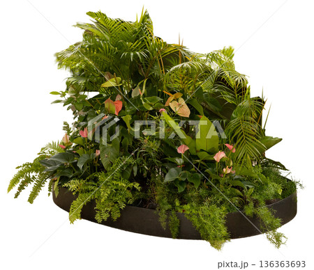 This arrangement features a mix of tropical plants including ferns and colorful leaves on a circular base. It serves as a decorative element in indoor spaces This arrangement features a mix of tropical plants including ferns and colorful leaves on a circular base. It serves as a decorative element in indoor spaces 136363693