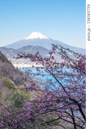 薩埵峠 136363759