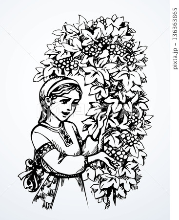 Vector drawing. Girl with viburnum Vector drawing. Girl with viburnum 136363865