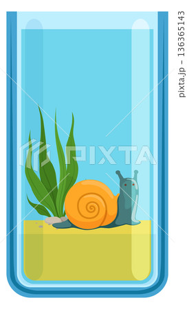 Snail in glass aquarium. Cartoon animal on decorative sand Snail in glass aquarium. Cartoon animal on decorative sand 136365143