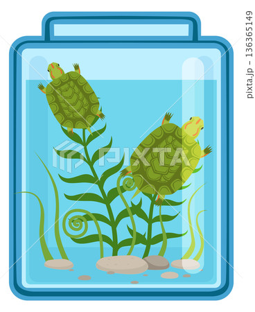 Marine turtles swim in glass jar. Cartoon pet Marine turtles swim in glass jar. Cartoon pet 136365149
