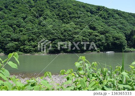 最上川 日本三大急流 136365333