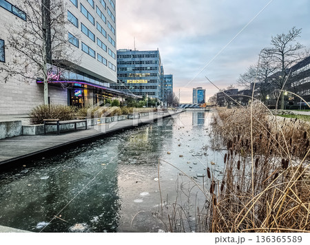 A frozen pond with reeds in the foreground, reflecting the modern office buildings of Spielberk Office Centre in Brno on a cold winter day. High quality photo A frozen pond with reeds in the foreground, reflecting the modern office buildings of Spielberk Office Centre in Brno on a cold winter day. High quality photo 136365589