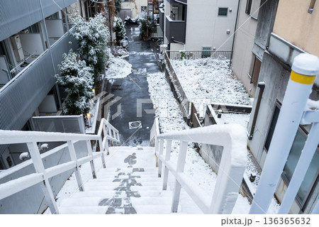 【大田区】雪が積もった早朝の街並み 136365632