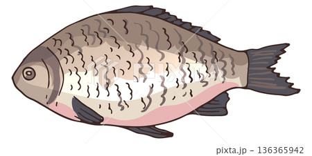 River fish color icon. Bream cartoon drawing 136365942