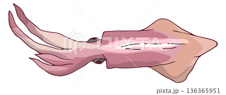 Seafood cartoon icon. Raw squid. Natural food Seafood cartoon icon. Raw squid. Natural food 136365951