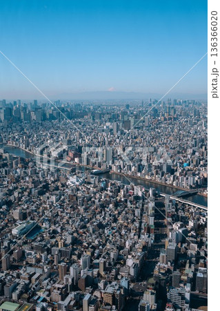 スカイツリーから撮影した東京の都市風景 136366020