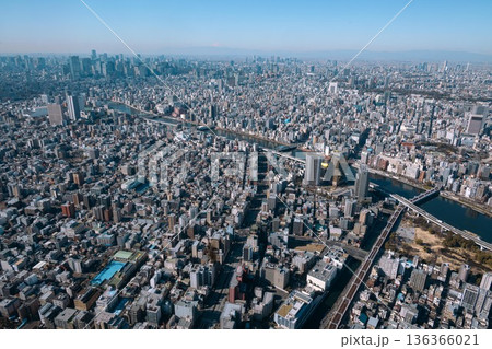 スカイツリーから撮影した東京の都市風景 136366021