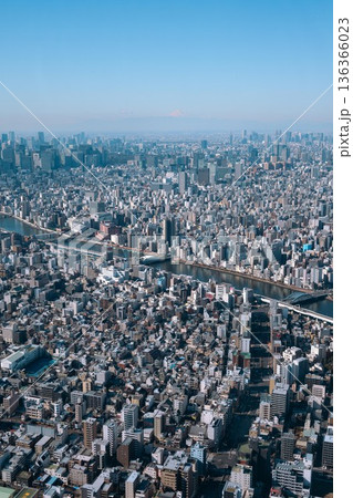 スカイツリーから撮影した東京の都市風景 136366023