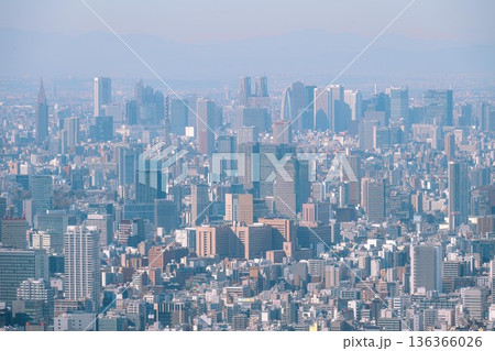 スカイツリーから撮影した東京の都市風景 136366026