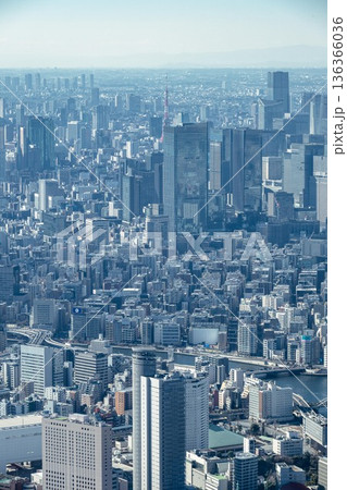スカイツリーから撮影した東京の都市風景 136366036