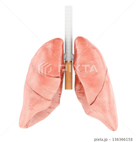 Smoking damage, concept. Human lungs with cigarette as trachea. 3D rendering 136366158