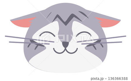 Happy cat face. Delighted joyful animal emotion 136366388