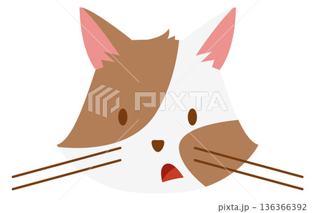 Shocked cat face expression. Surprised animal emoji Shocked cat face expression. Surprised animal emoji 136366392