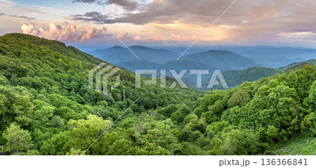 Morning forest in North Carolina Appalachian mountains, USA. American nature in summer season 136366841